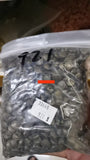 40 piezas de aleación de plata tibetana de 9 x 8 mm, colgantes de concha marina, ef4395