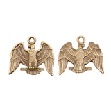 5pcs 19x20mm Eagle Charms Pendant For Jewelry Making Antique Silver Color Alloy Jewelry Accessories EF4006