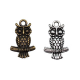 10pcs 19x12mm 2 Colors Antique Bronze Color Antique Silver Color Double Sided Owl Charms For DIY Jewelry Making
