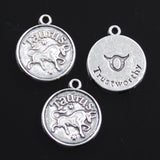 12pcs Charms Zodiac Aries Pisces Gemini Taurus  Cancer Vigro Scorpio Leo Libra 20x17mm Silver Color Pendants DIY Making Jewelry