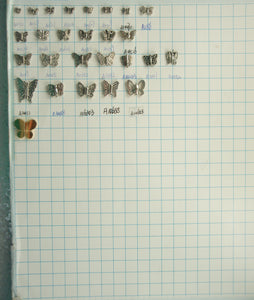 supplies-5