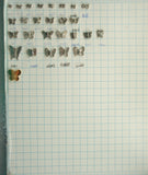 supplies-5