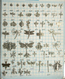 supplies-5