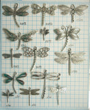 supplies-5