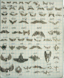 supplies-5