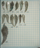 supplies-5