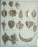leaf