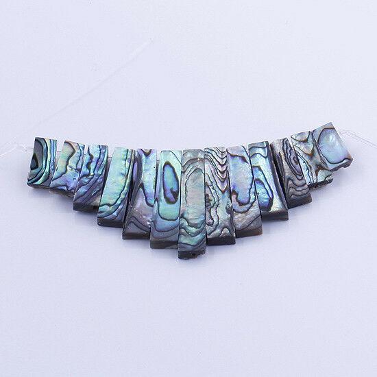 A Set New Zealand Abalone Shell Pearl MOP Charm Beads Fit Pendant Necklace xx1