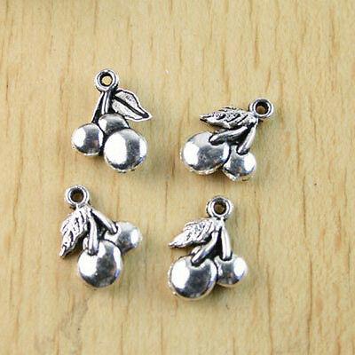 16Pcs Tibetan silver fruit charms H1192