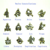High Quality 120 Pieces(10 sets)/Lot 22mm*20mm Antique Silver Plated Small Zodiac Charms For Jewelry Making Factory Wholesale