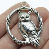 WYSIWYG 2pcs/lot 46x37mm Owl Charms Pendant For Jewelry Making 2 Colors Antique Silver Color Antique Bronze Plated Alloy Charms